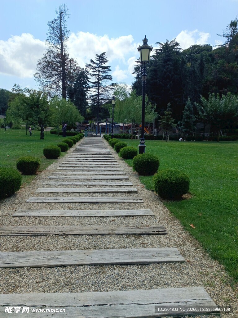 林间石板小径 绿意盎然