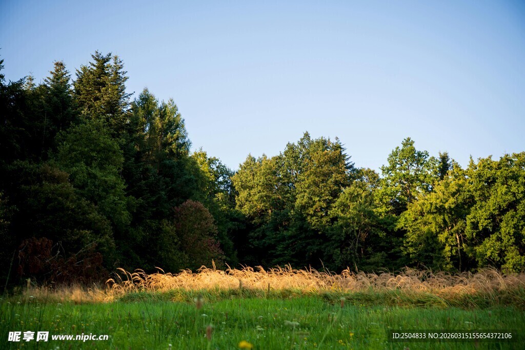 绿野林间 自然风光美景