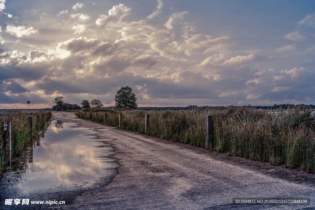 乡村雨后泥泞小路风景