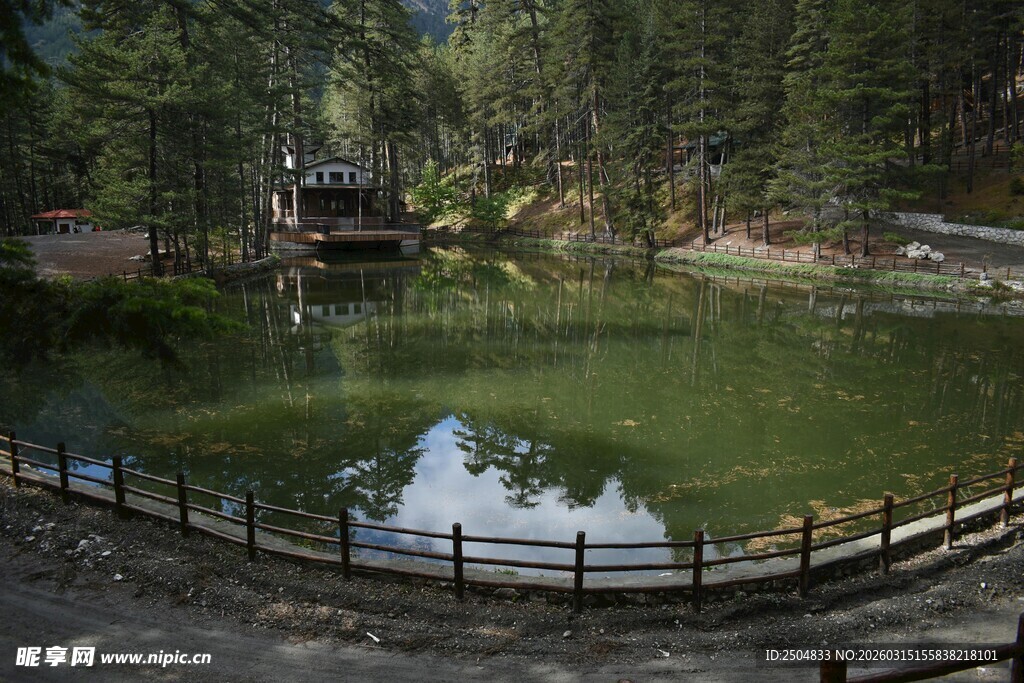 山林中的宁静池塘