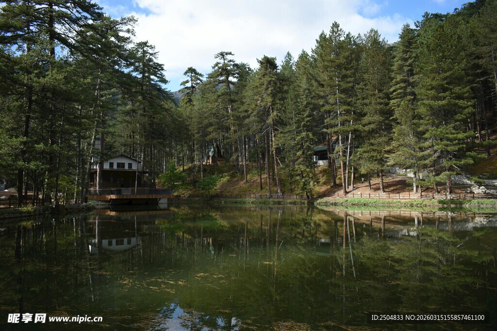 森林中的静谧湖水景观