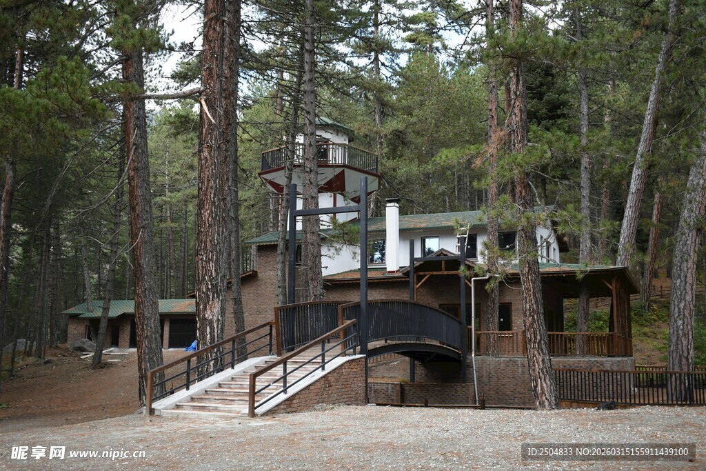 森林中的古朴建筑设施