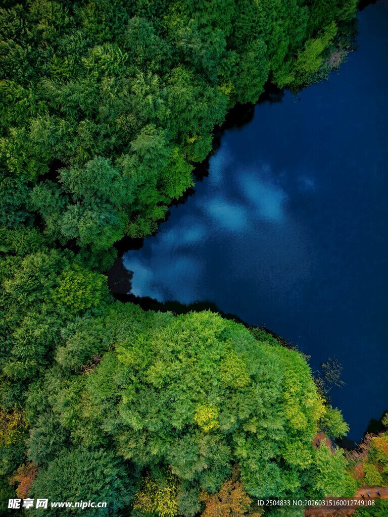 俯瞰葱郁森林中的幽蓝湖泊