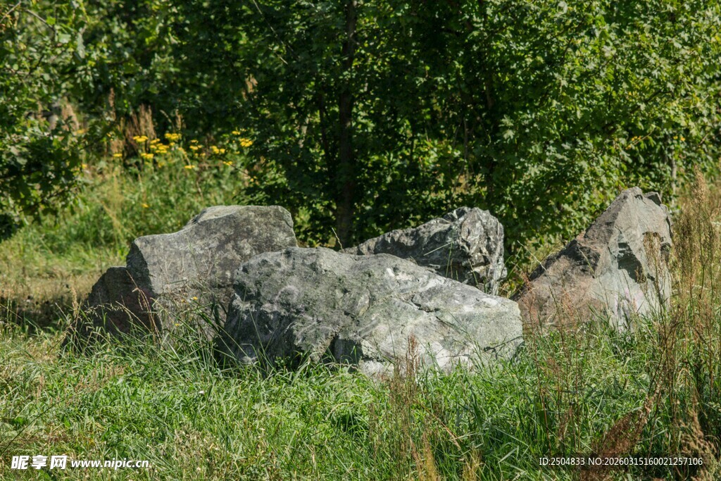 野外草地中的巨大岩石