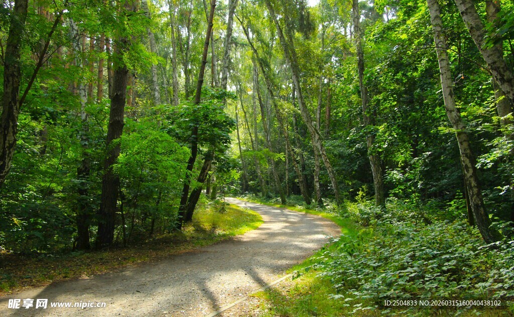 林间小道 漫步自然氧吧