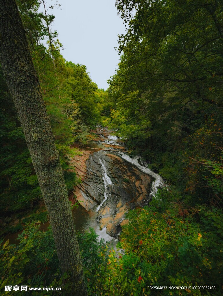 山林间的潺潺溪流