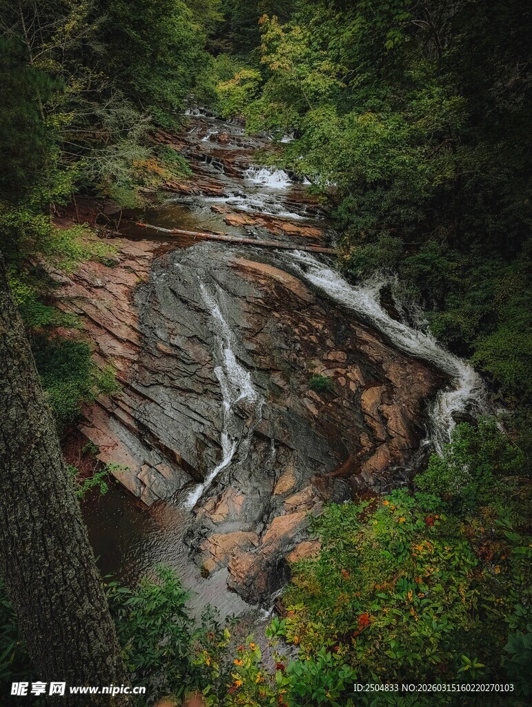 山间溪流蜿蜒于茂密丛林