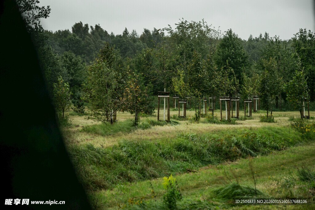 窗外乡村绿野风光