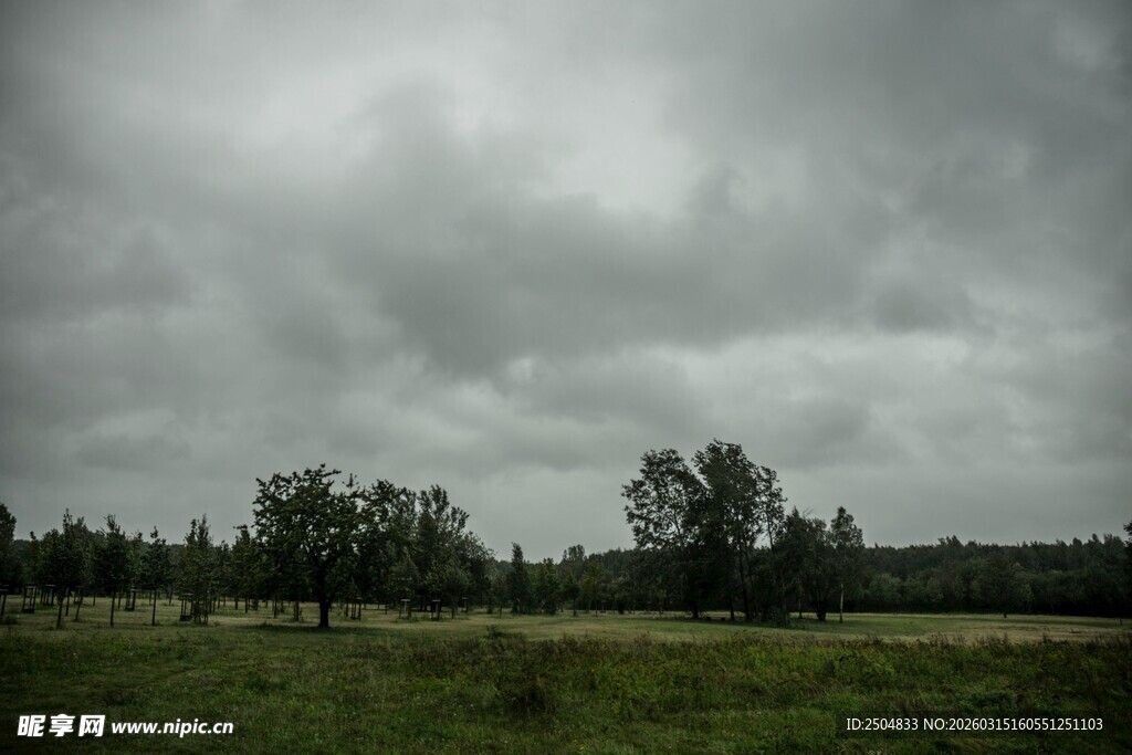 阴云下的广袤绿野