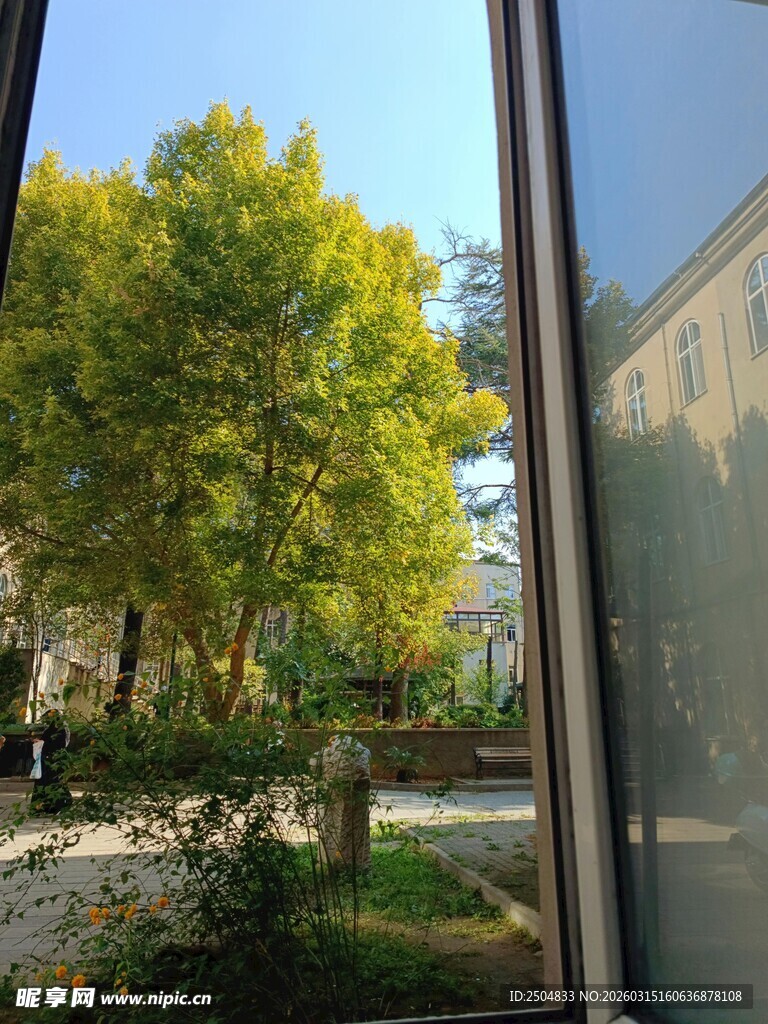 窗外绿意盎然的风景