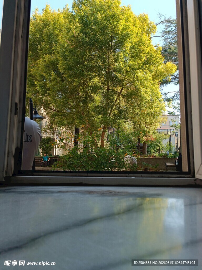 窗外绿意盎然的自然景致