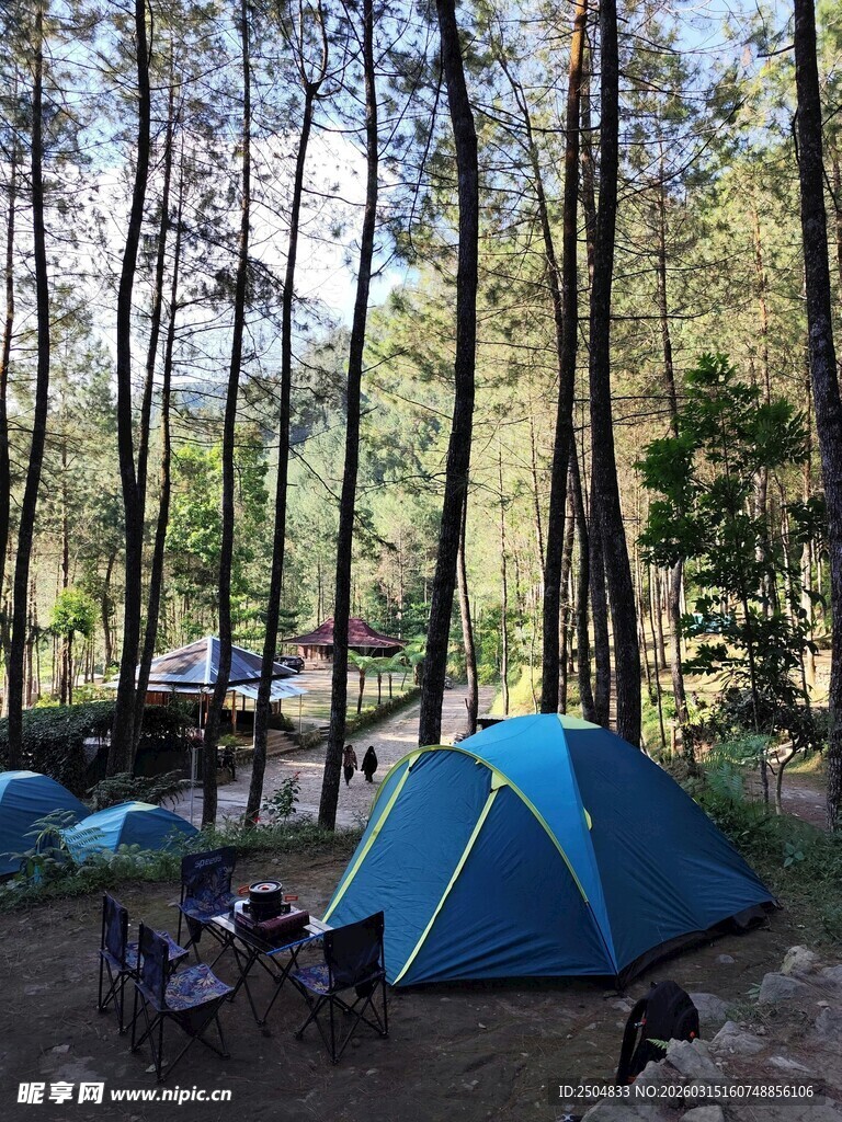森林中的蓝色露营帐篷