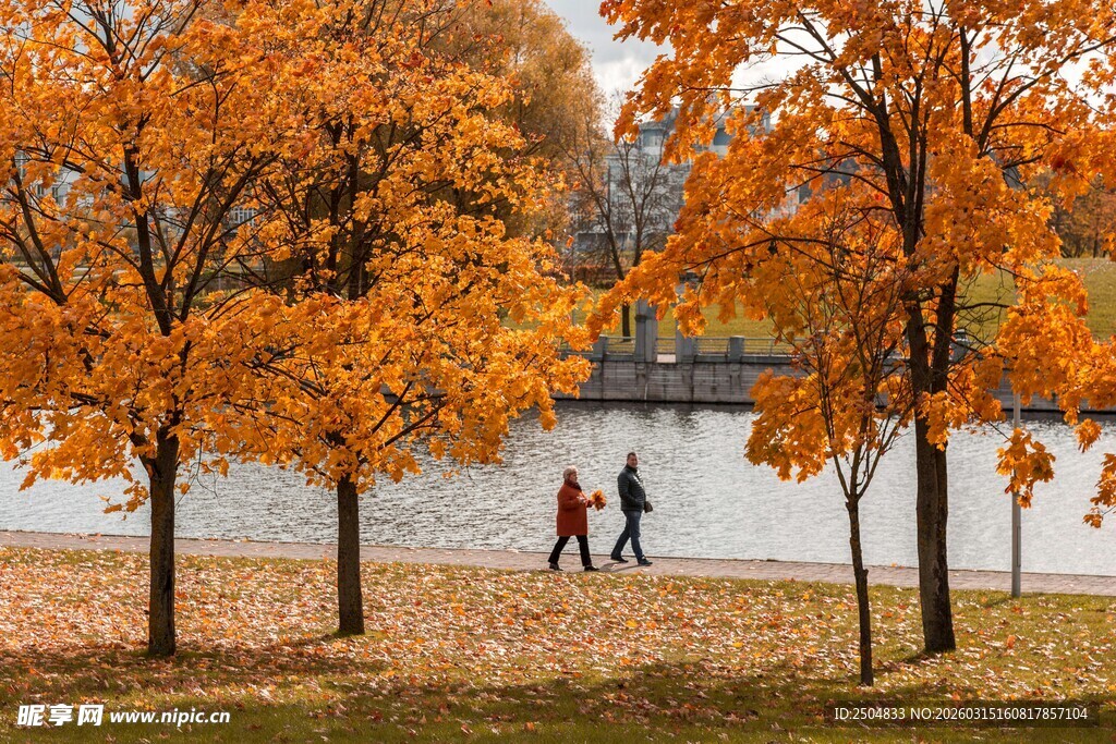 秋日湖畔漫步美景