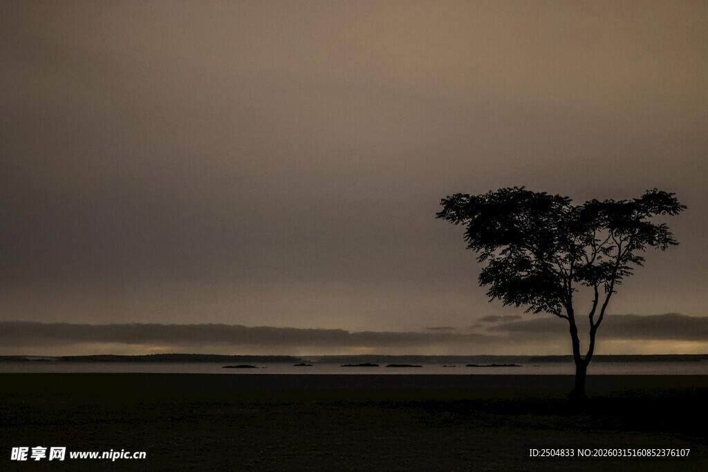 孤树伫立 暮色中的静谧景