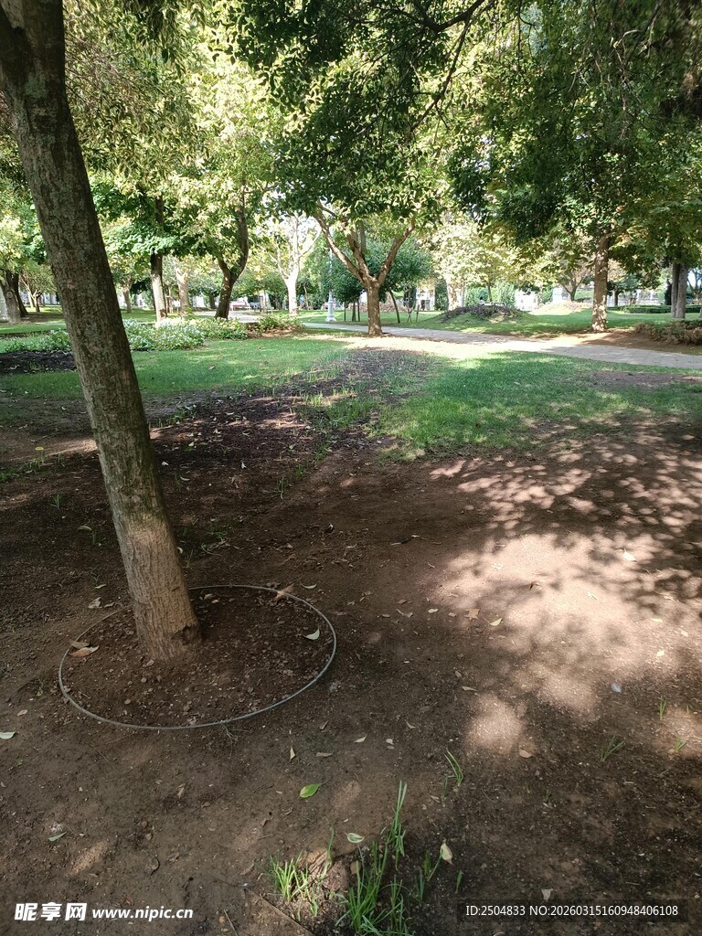 公园树荫下的静谧景致