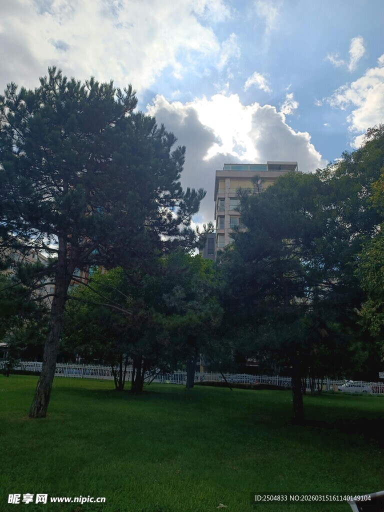 公园绿树蓝天清新景致