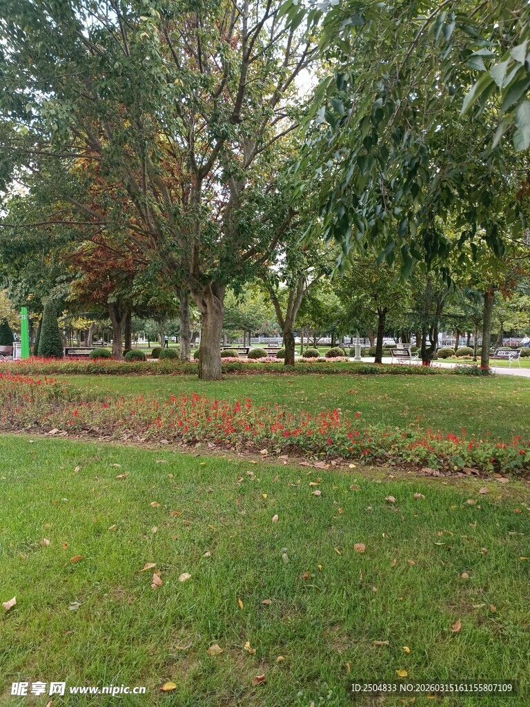 秋日公园绿意盎然景致