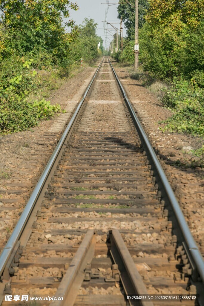 延伸的铁轨与周边绿意