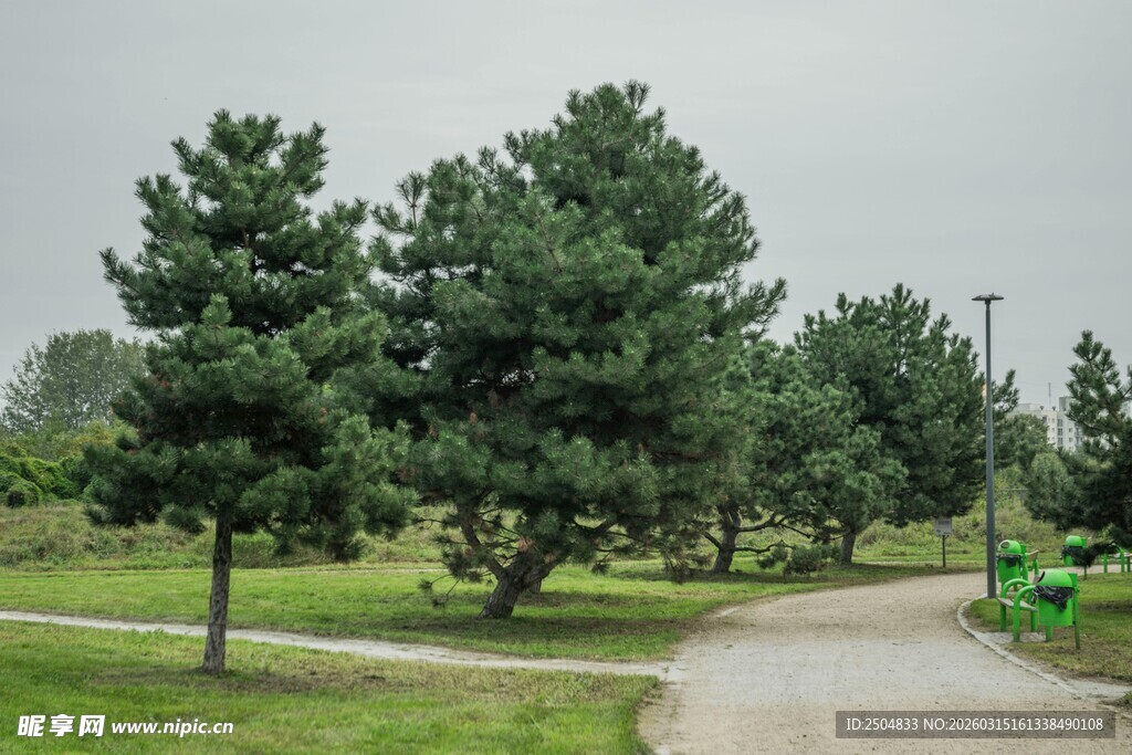 公园绿树成荫的蜿蜒小径