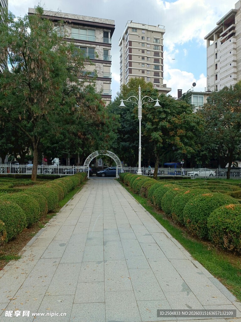 城市中的宁静林荫步道