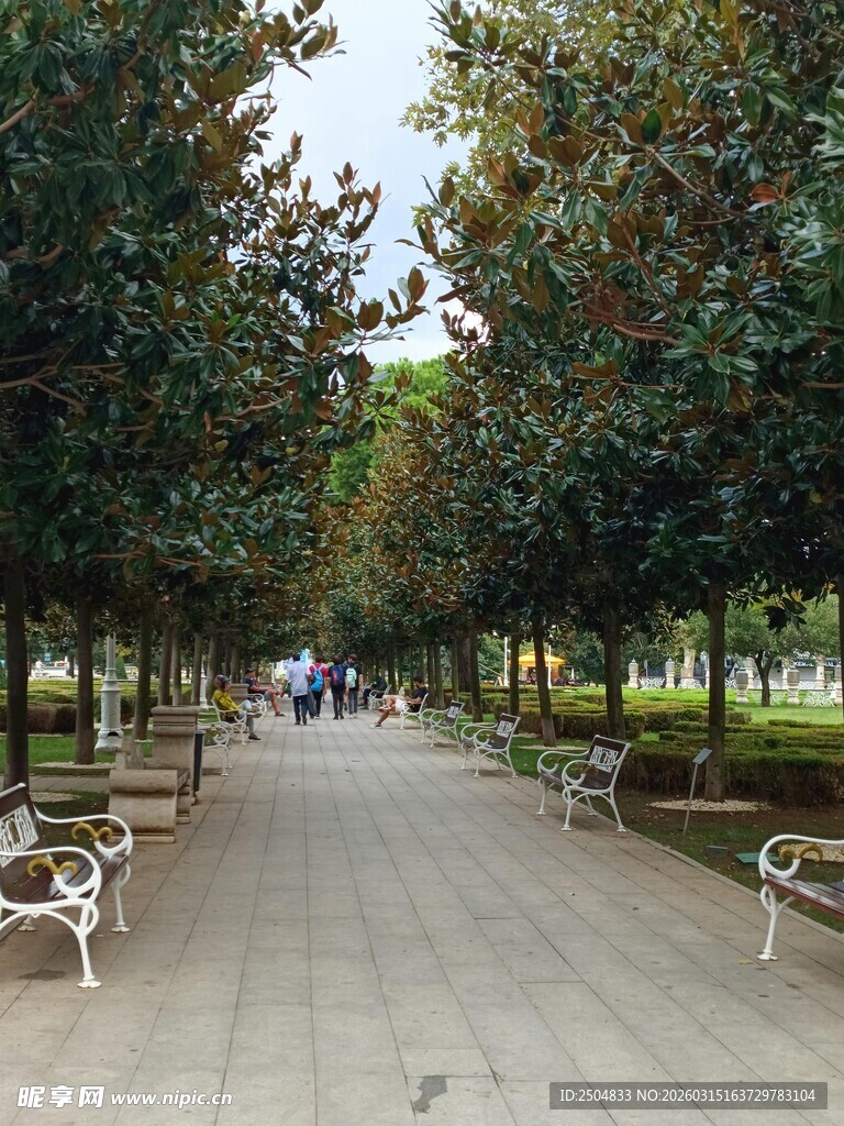 林荫步道 静谧休闲好去处