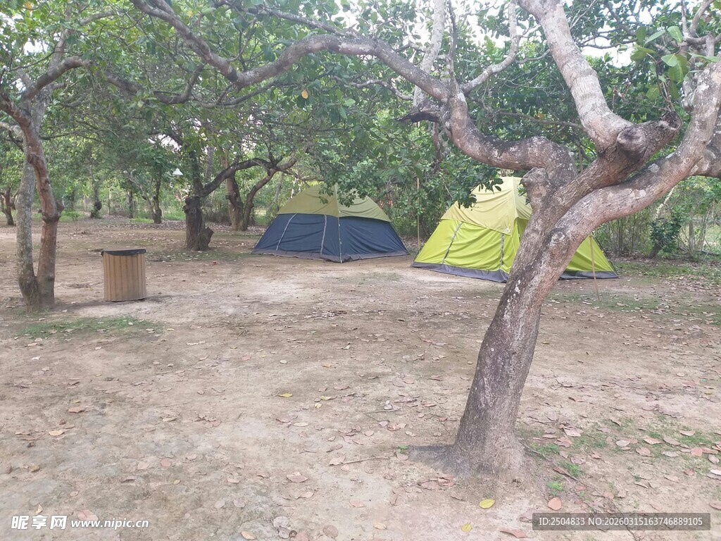 树林中的露营帐篷