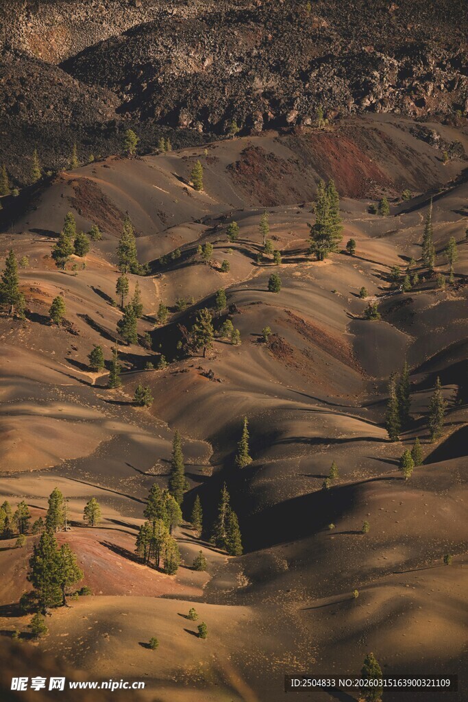 丘陵风光 大地的色彩韵律