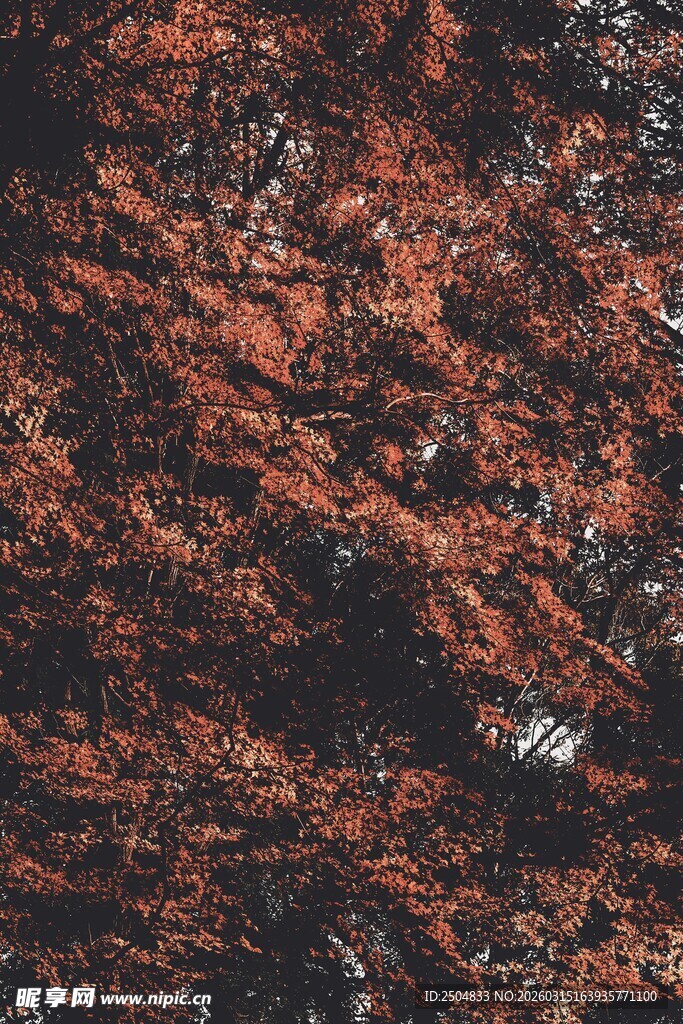 红色纹理大理石表面