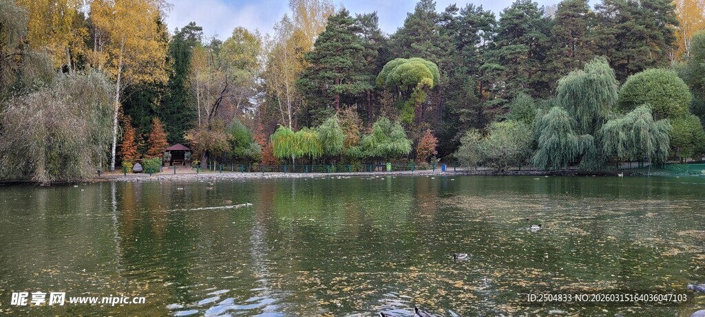秋日湖畔美景