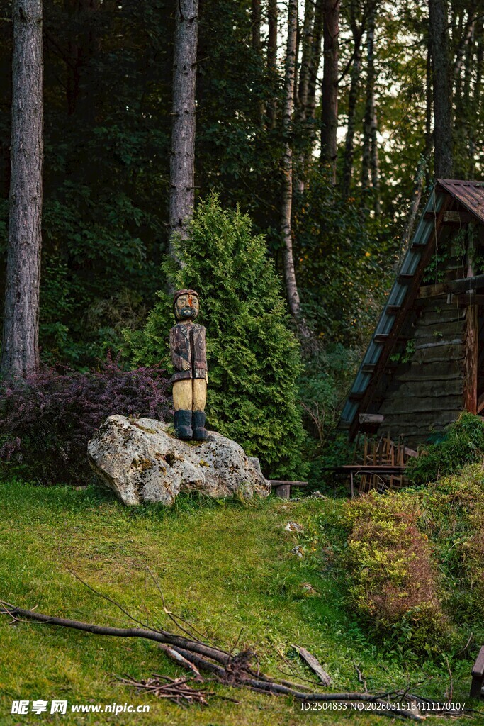 林间小屋旁的静谧自然景观