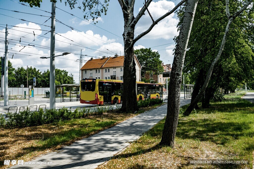 路边双层巴士与绿树风景