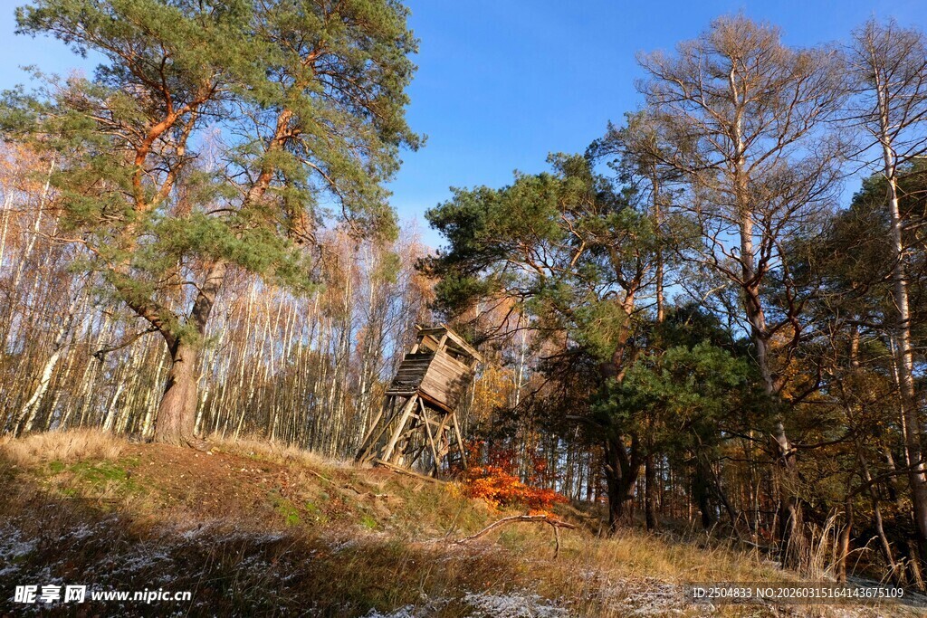 秋日林间骑行风景