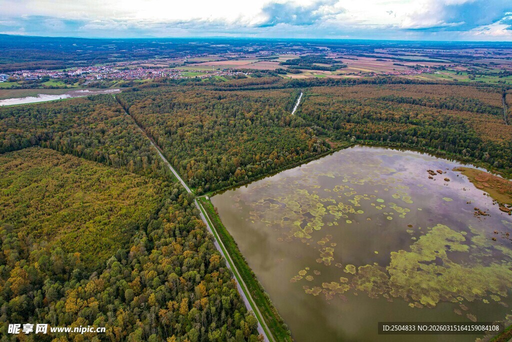 俯瞰广袤湿地与植被景观