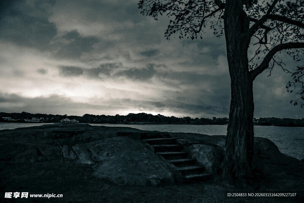 黄昏湖畔孤树静谧景象