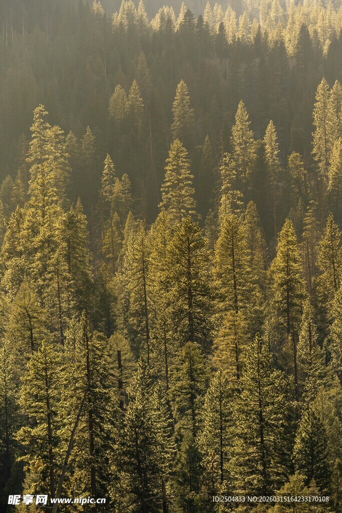 秋日山林美景
