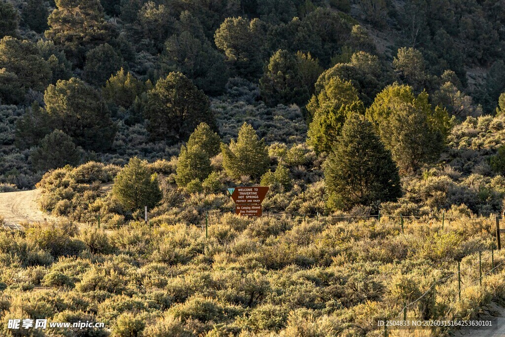 山间绿意盎然的自然景致