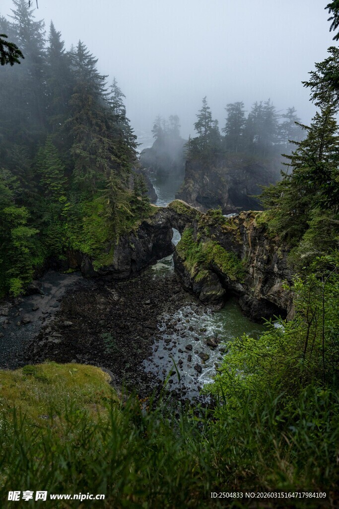 雾中森林溪流自然美景