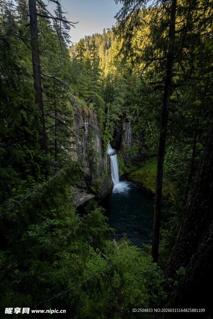 森林中的清幽瀑布景观