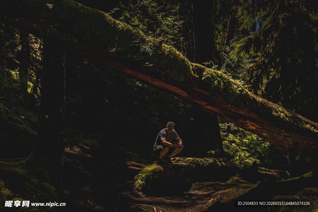 森林中徒步的身影