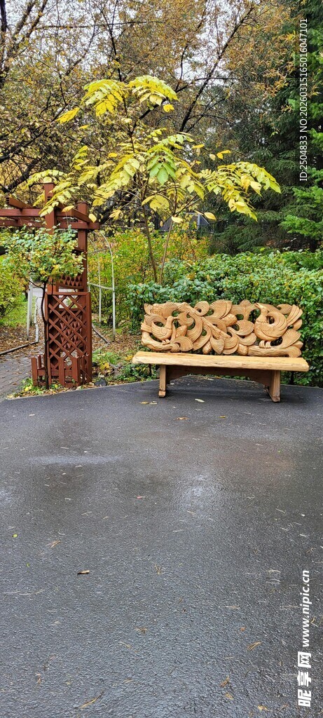 雨中长椅 秋景静谧氛围