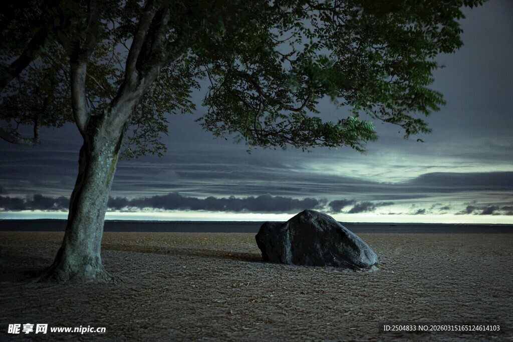 海边树下的静谧露营场景