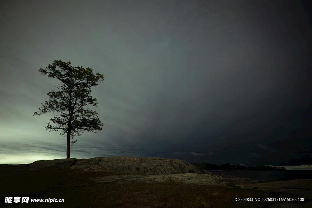 孤树矗立在 沉天地间