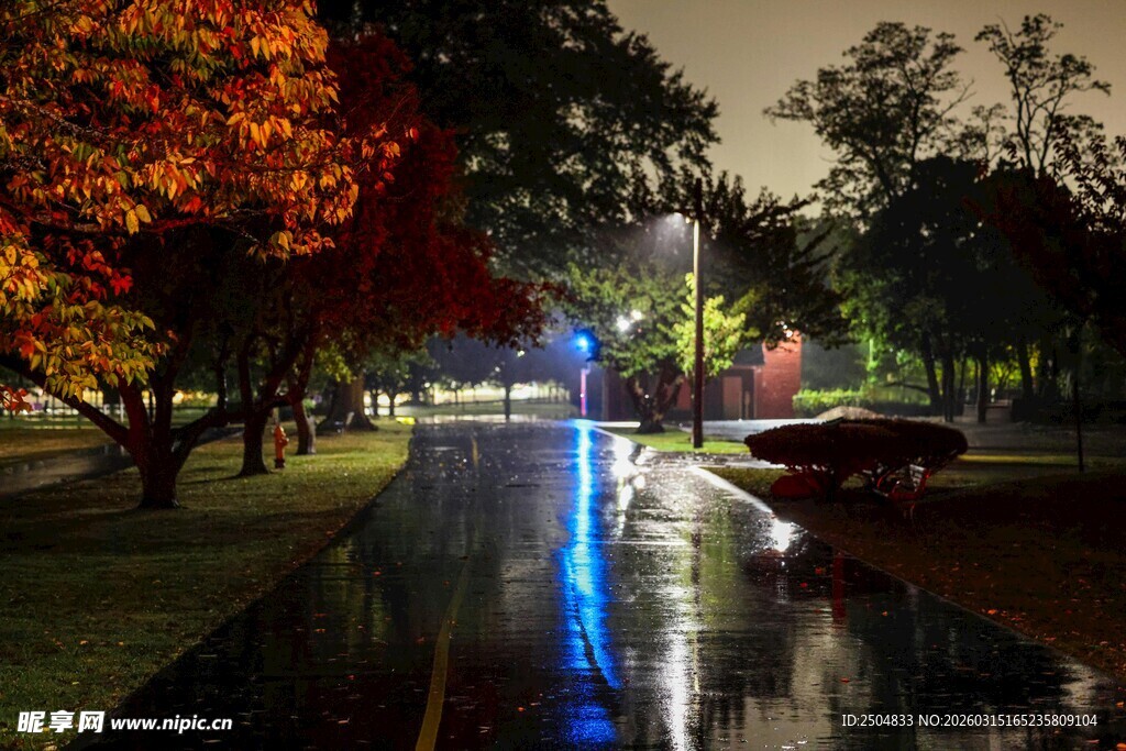 夜晚公园的绚丽光影