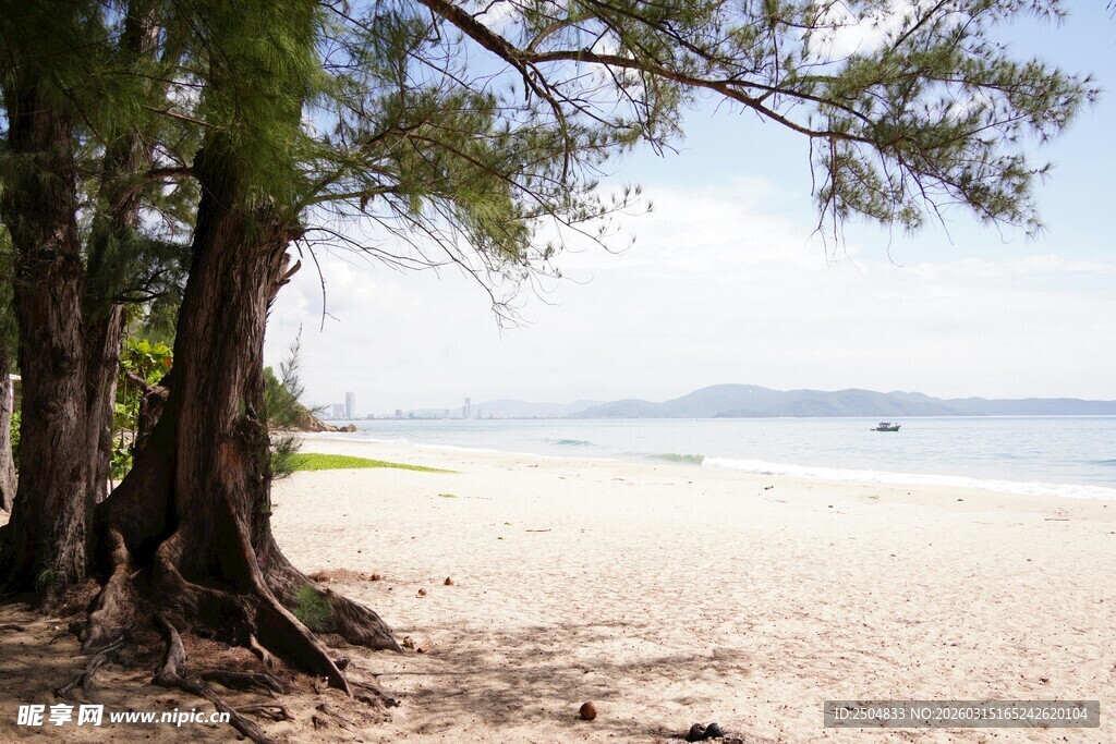 海边沙滩树木风景图