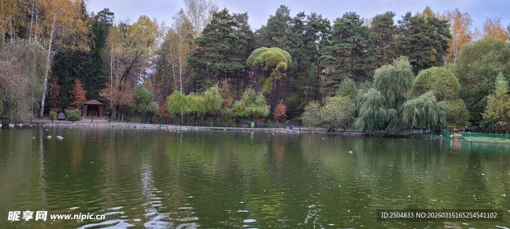 秋日湖畔美景