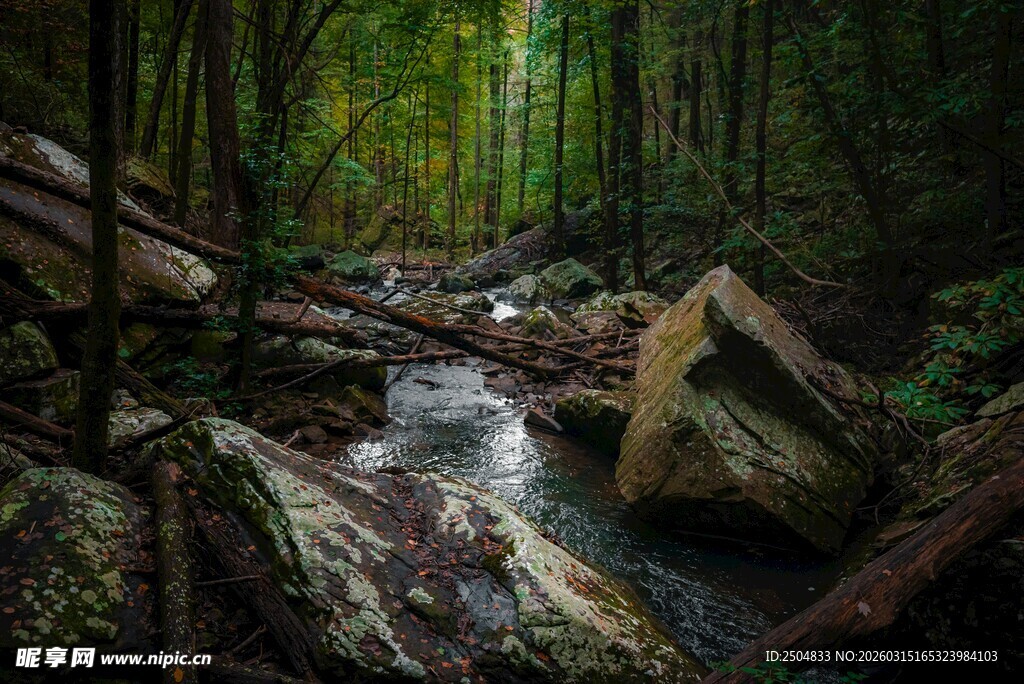 林间溪流风景图