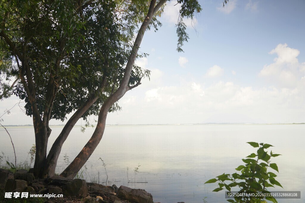 湖畔绿树映蓝天