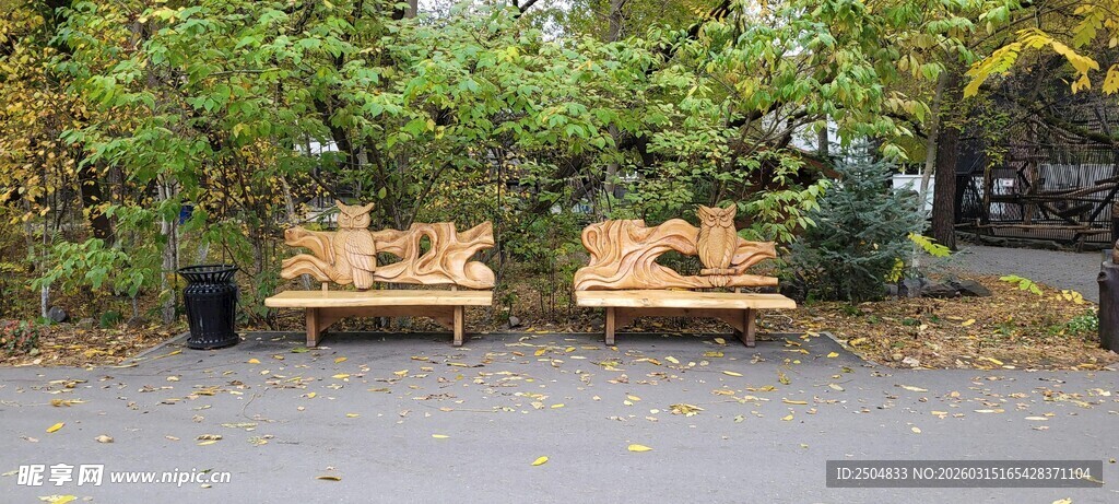 公园长椅旁的秋日绿植景观