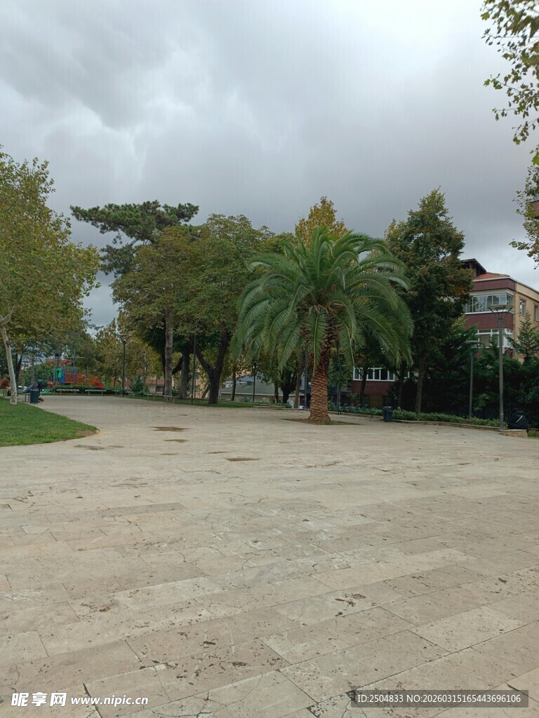 户外空旷场地与绿植景观