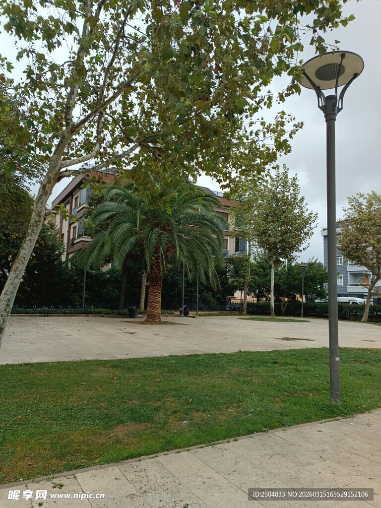 公园中的路灯与绿树景观